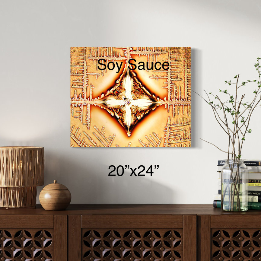 Soy Sauce (20x24 Canvas)