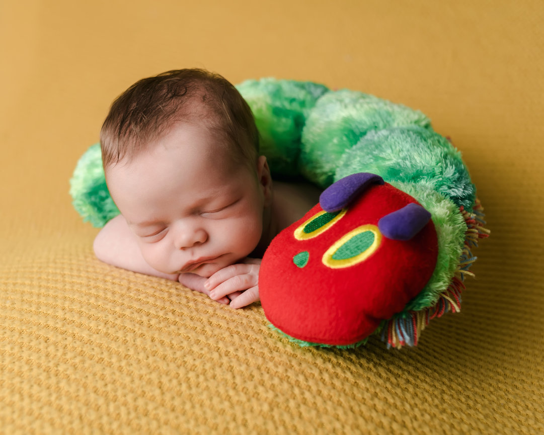 Elliott's Wrapped Newborn Session