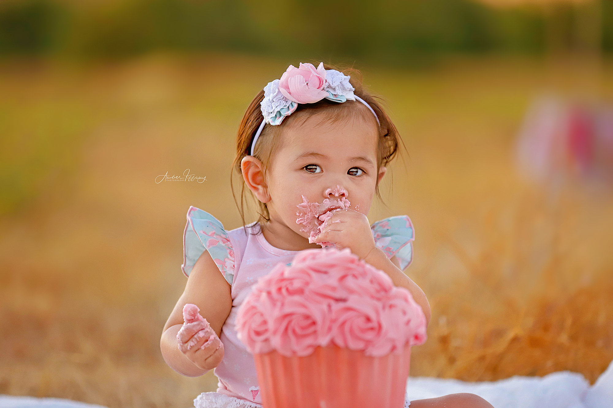 Cake Smash Portfolio Amber Tiffany Photography cake-smash-portfolio-amber-tiffany-photography