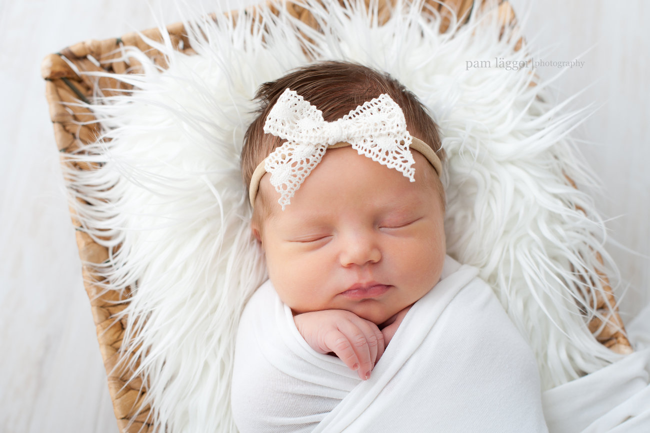 newborn + family session