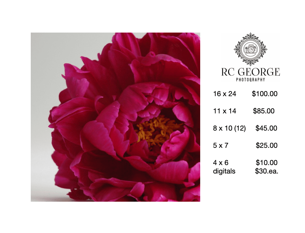 Prints & Digital Images