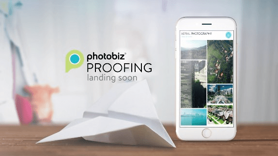 Prepping Your Client Galleries for Wedding Season