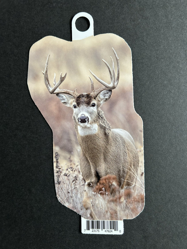 Whitetail Deer S6 702