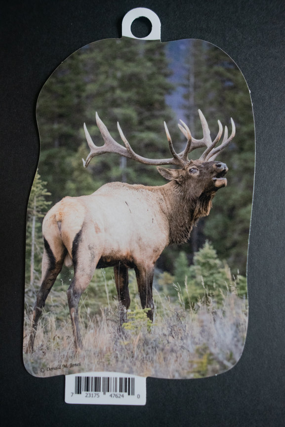 Bull Elk S4 611
