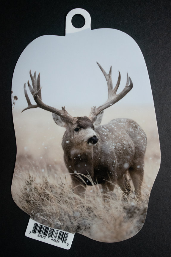 Mule Deer S6 719
