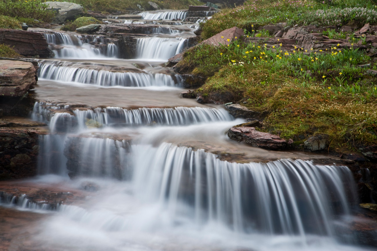 Logan Pass Gardens CH 4157