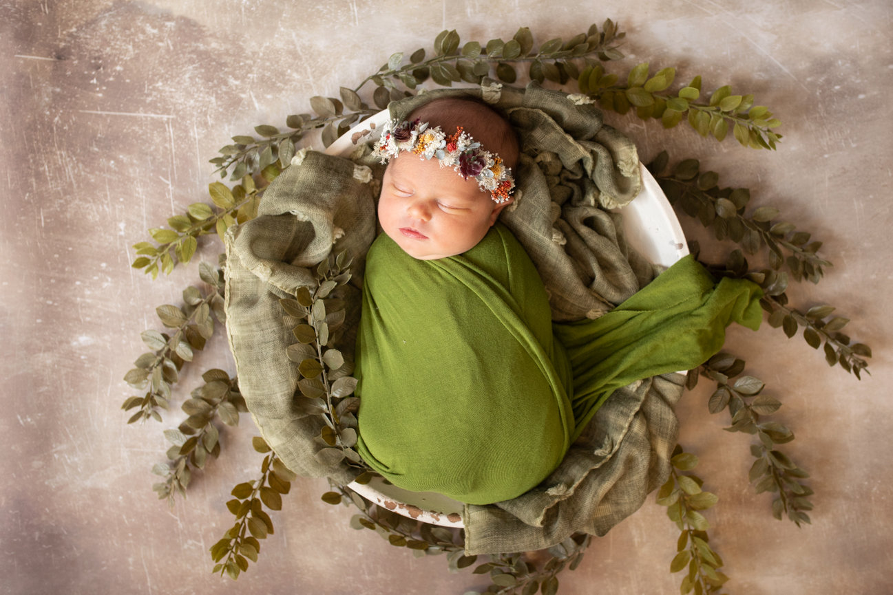 Your Go-To Saint Louis Photographer for Headshots & Personal Branding