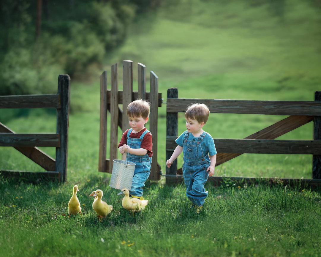 Custom Fairy Sessions for Pittsburgh, Mars and Cranberry Township