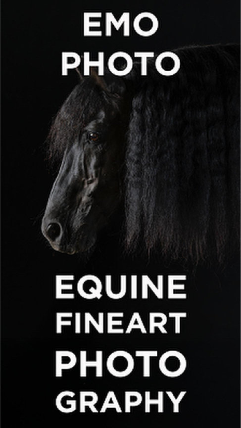 EQUINE FINE ART PHOTOGRAPHY