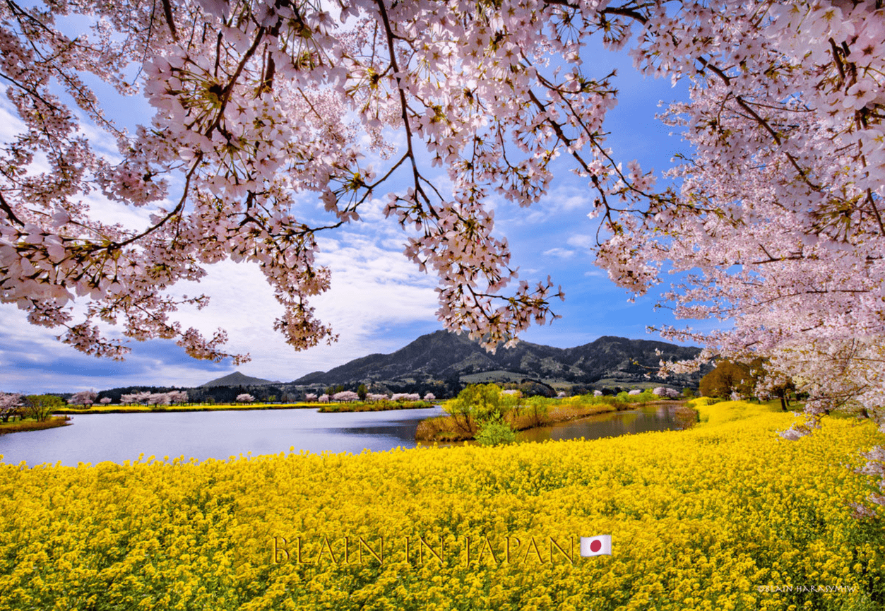 Discover Matsumoto Castle on a Hokkaido Photo Tour with JDS!