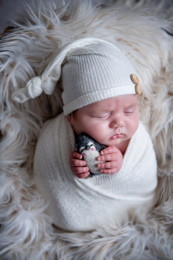 Preparing for your Twin photography session, Erie PA