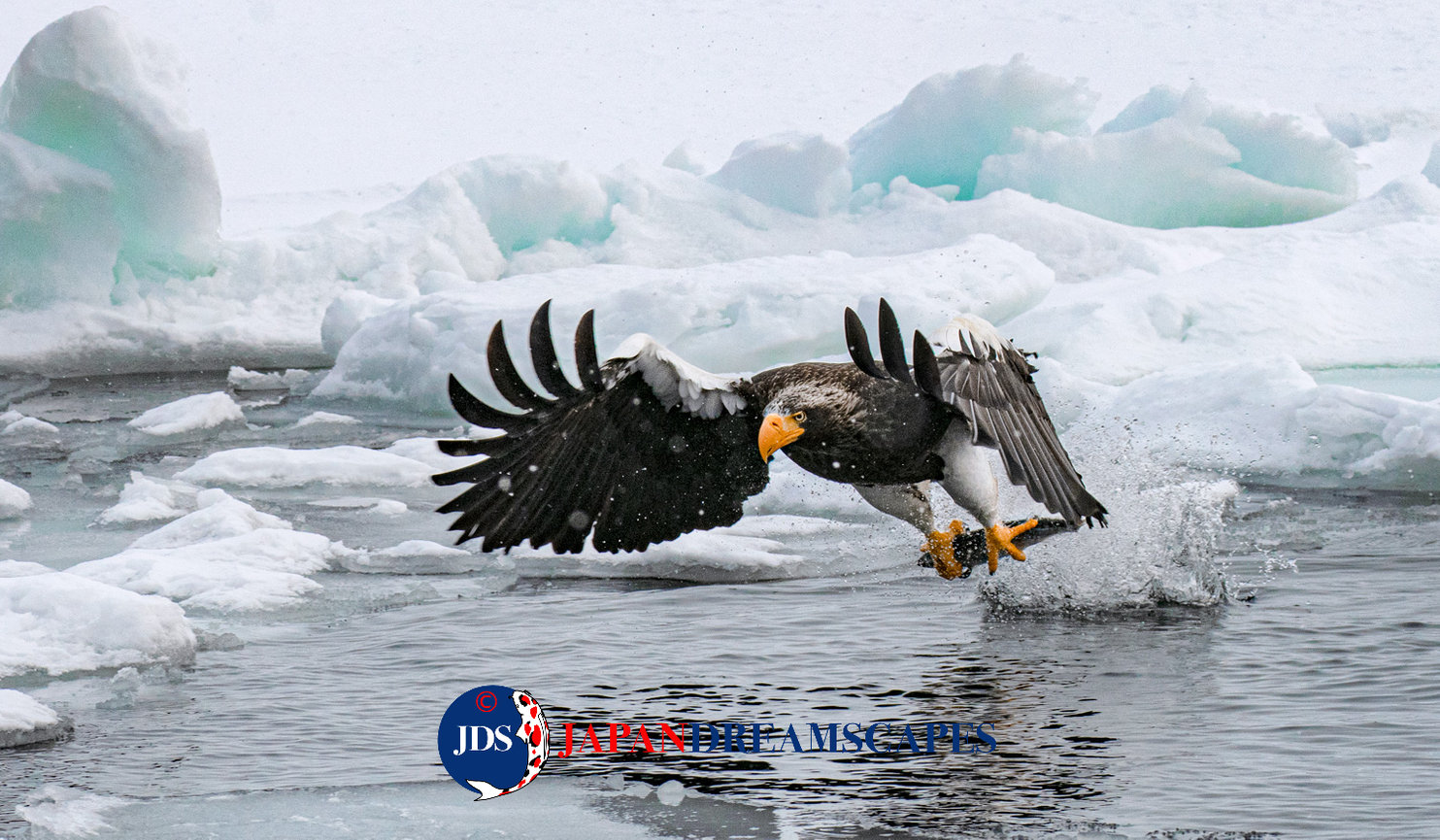 Discover Matsumoto Castle on a Hokkaido Photo Tour with JDS!