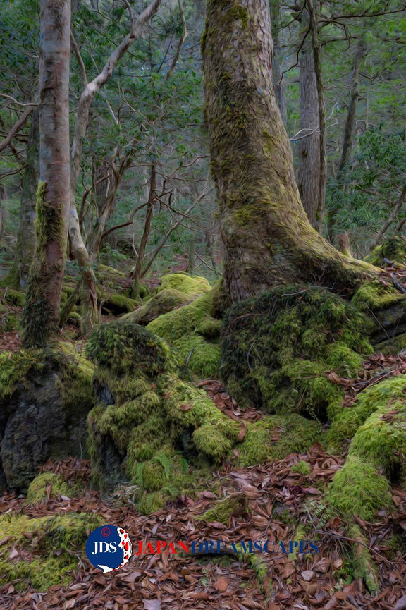 Japan Autumn Leaves Tour – Capture the Colors of Fall with JDS