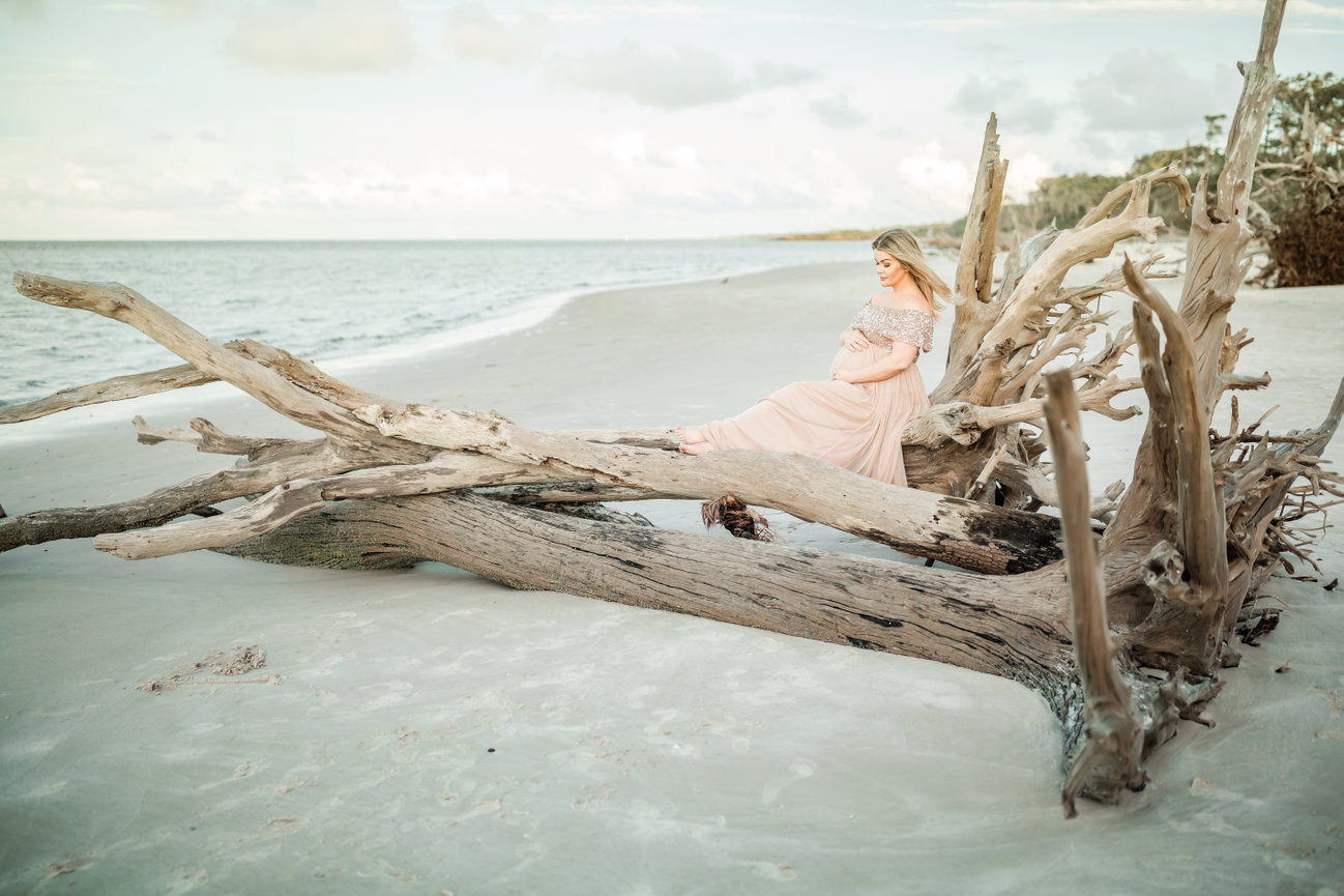 E. L. Bishop Photography - Jacksonville, FL Newborn, Maternity and