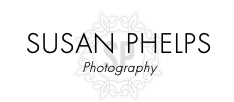 FLOWER GALLERY | Susan Phelps flower photography | Wokingham