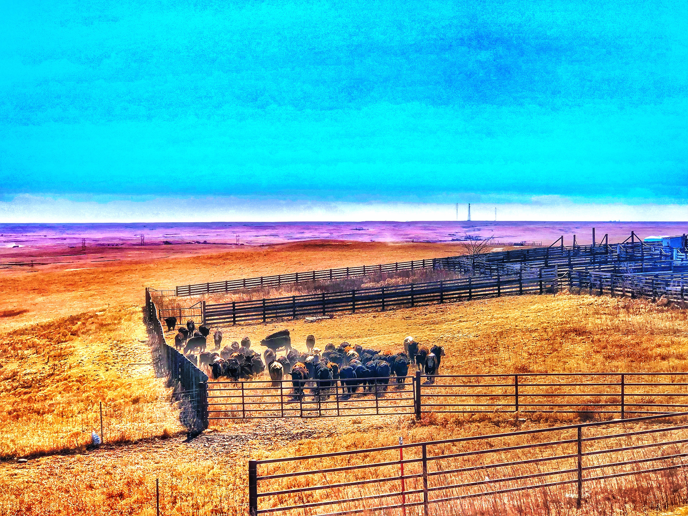 Bazaar Cattle Pens Ink Fusion Art by JimRode