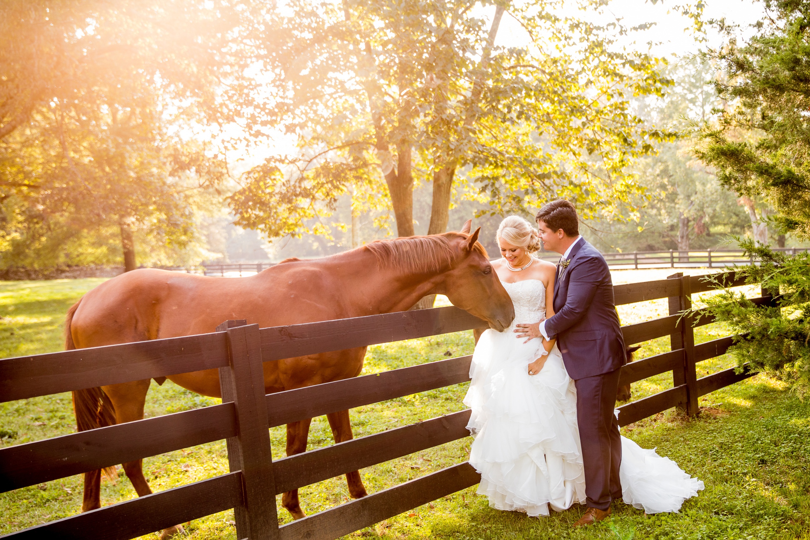 Matt Andrews Photography Nashville Wedding Photographer Video 0578