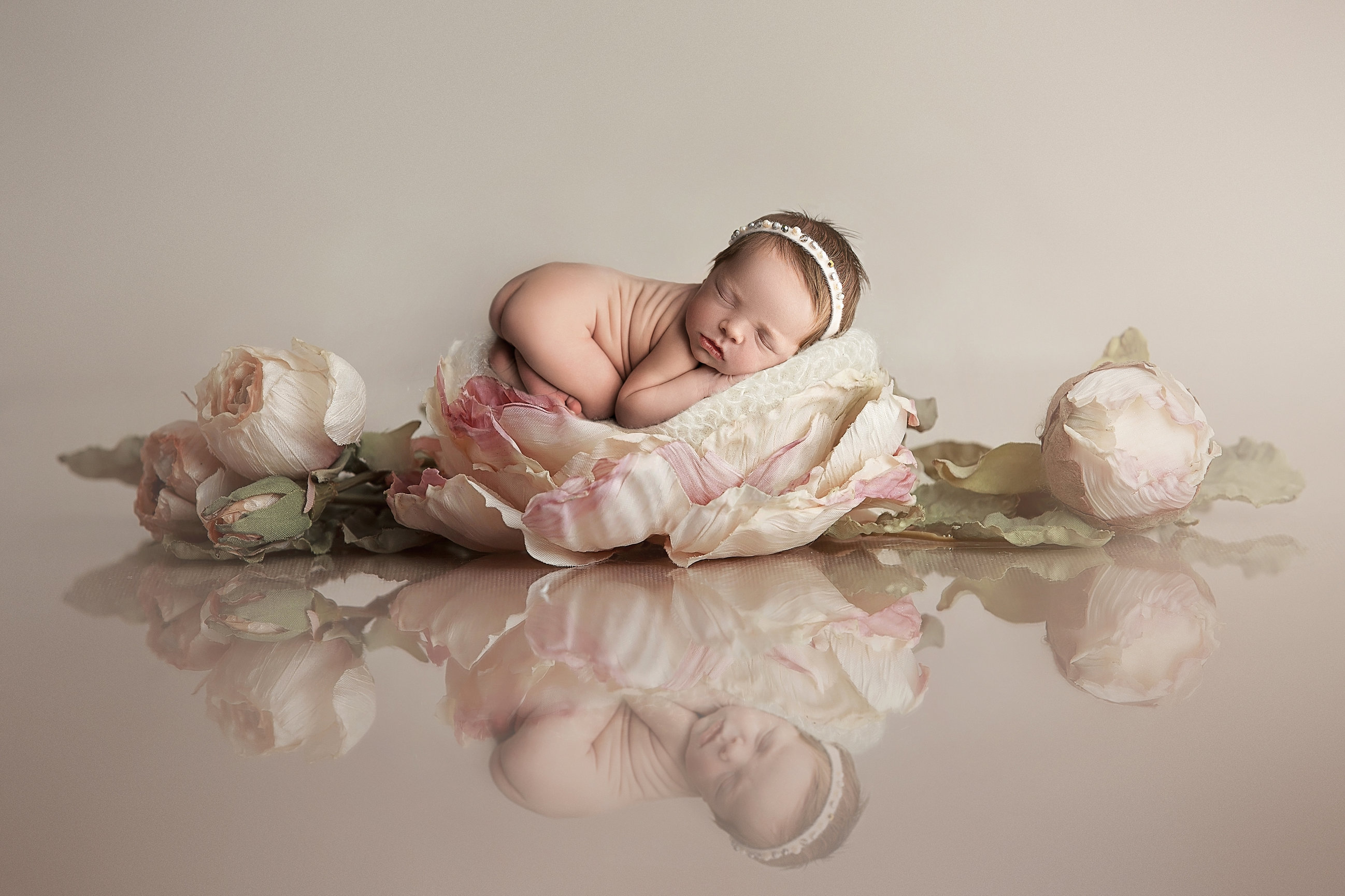Zoey • Newborn Girl • Calgary Newborn Photographer - Hocus Focus Photography