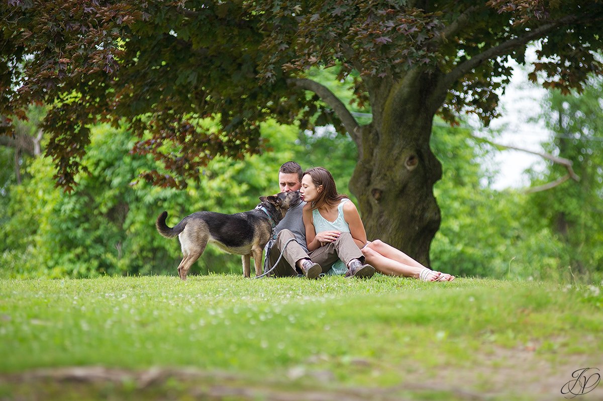 dog engagement photo