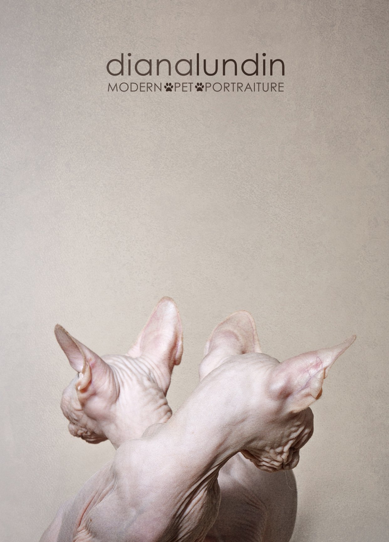 The Sphynx Collection Los Angeles Pet Photography of Diana Lundin