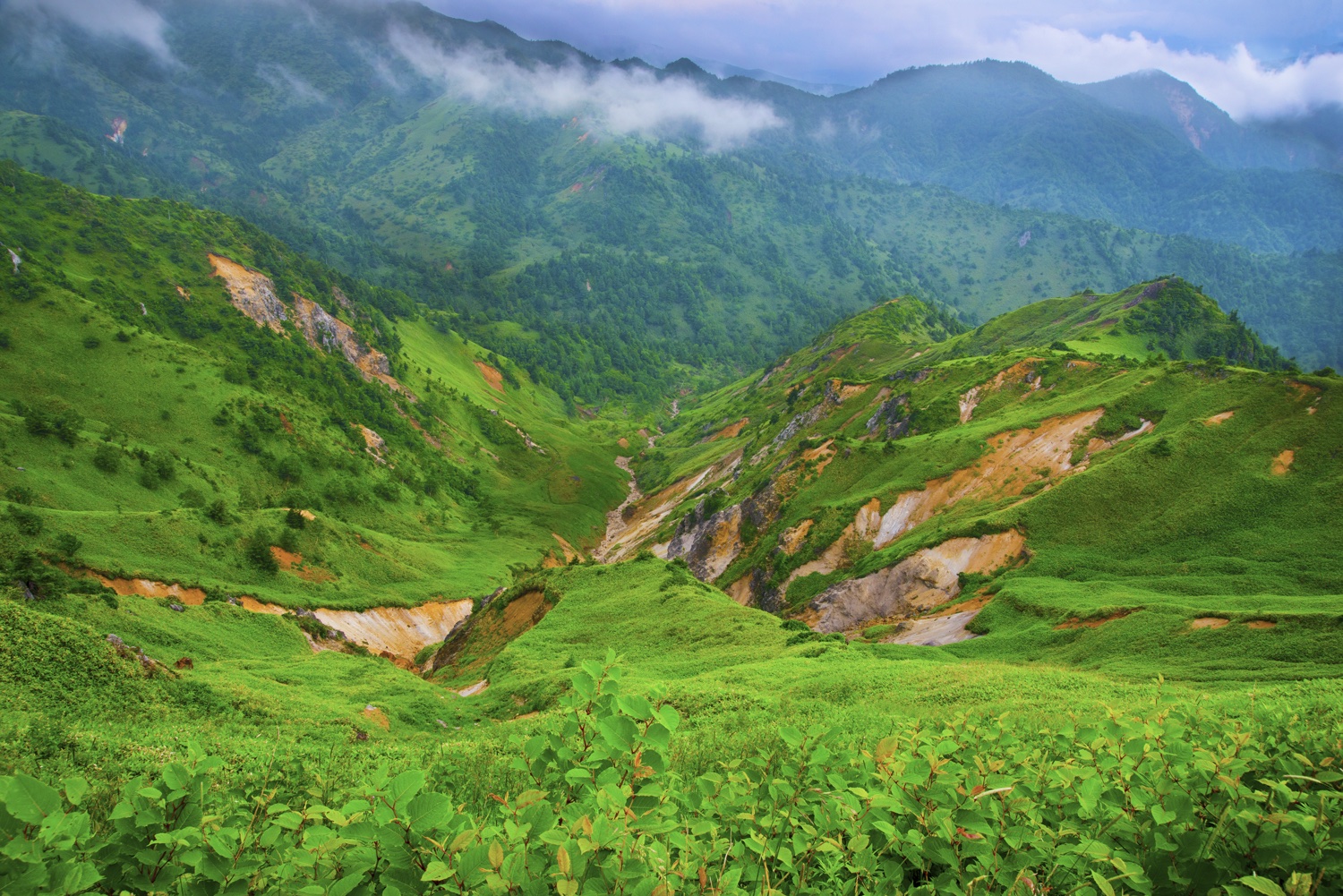 Jigokudani (地獄谷) Hell's Valley Japan - Blain Harasymiw Photography