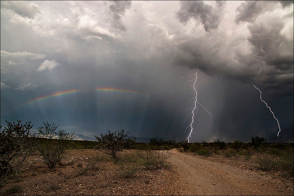 Arizona Monsoon 2 Natures Album