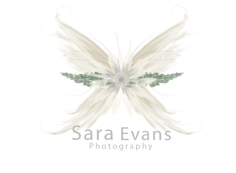 Sara Evans Photography Logo