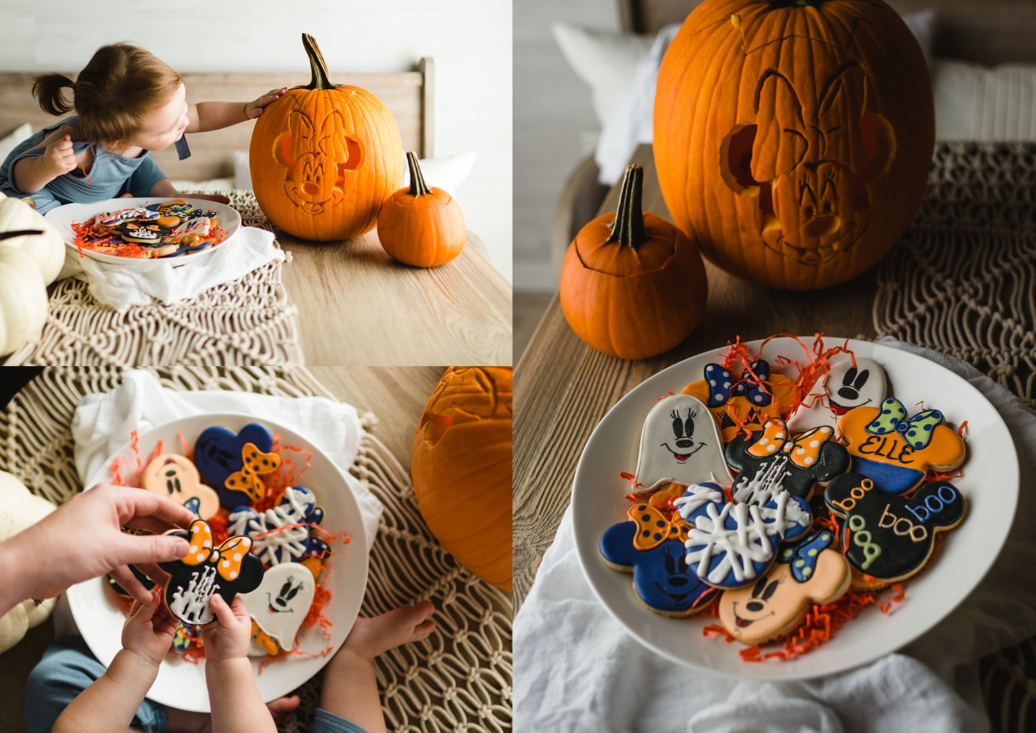 Halloween cookies, Florida, custom sugar cookies, Celebration Cookie