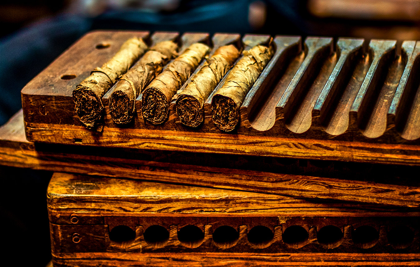 Wall Art Sundberg Photography Photo Canvas Print Abstract Bird