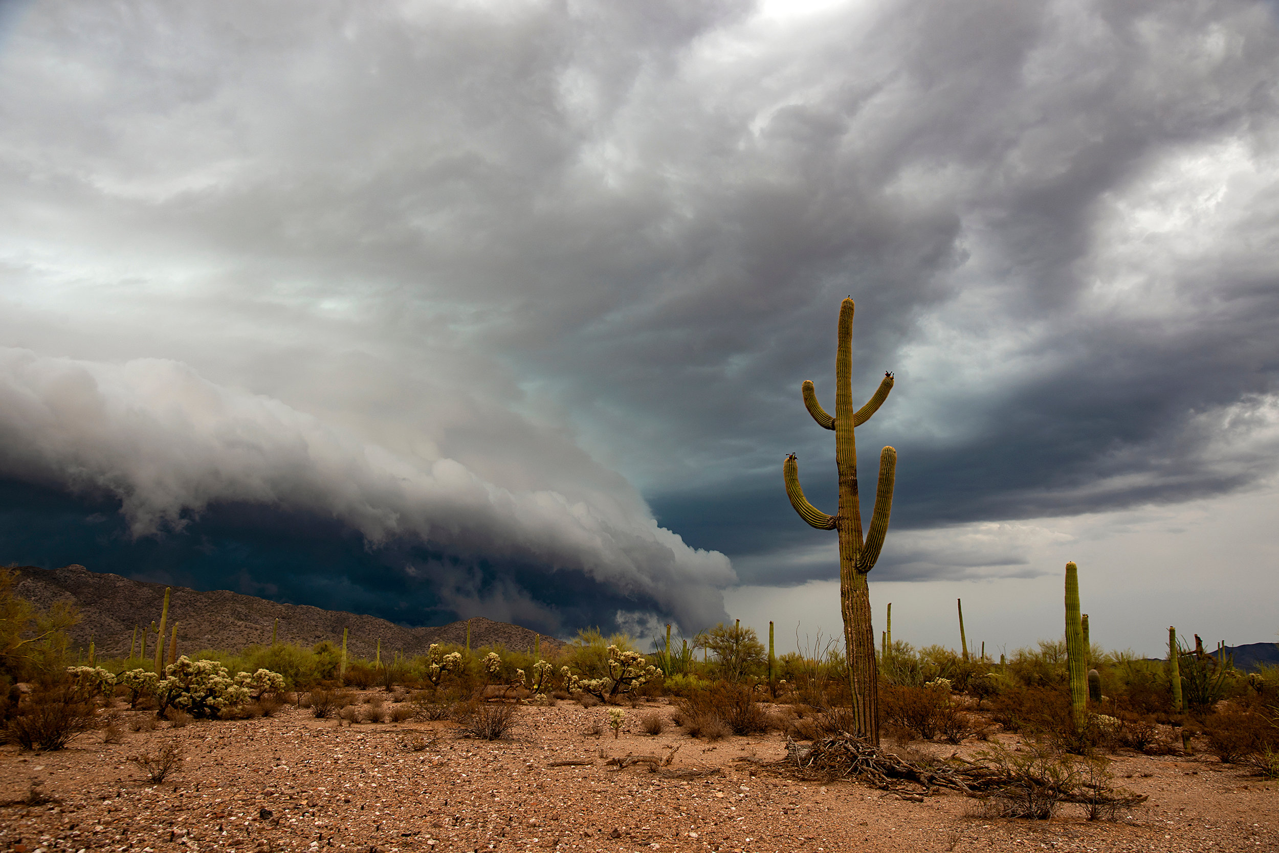 Arizona Monsoon Chasing Tours Storm Chasing Photography Tours