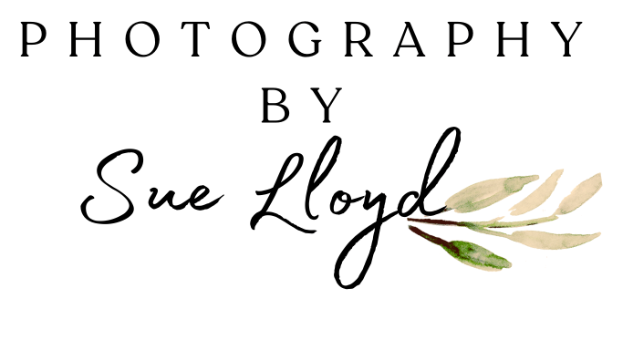 Photography By Sue Lloyd Logo