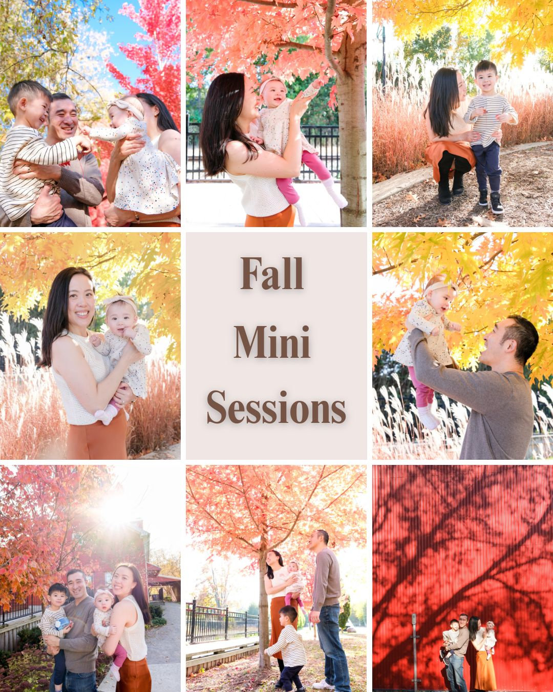Fall Mini Sessions in Markham - Yoko Miyazaki Photography