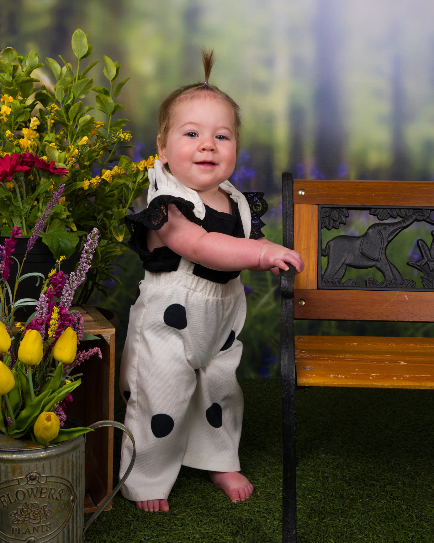 Home J and S Photography Schools