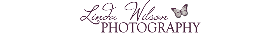 Linda Wilson Photography Logo