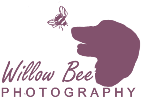 Willow Bee Photography Logo