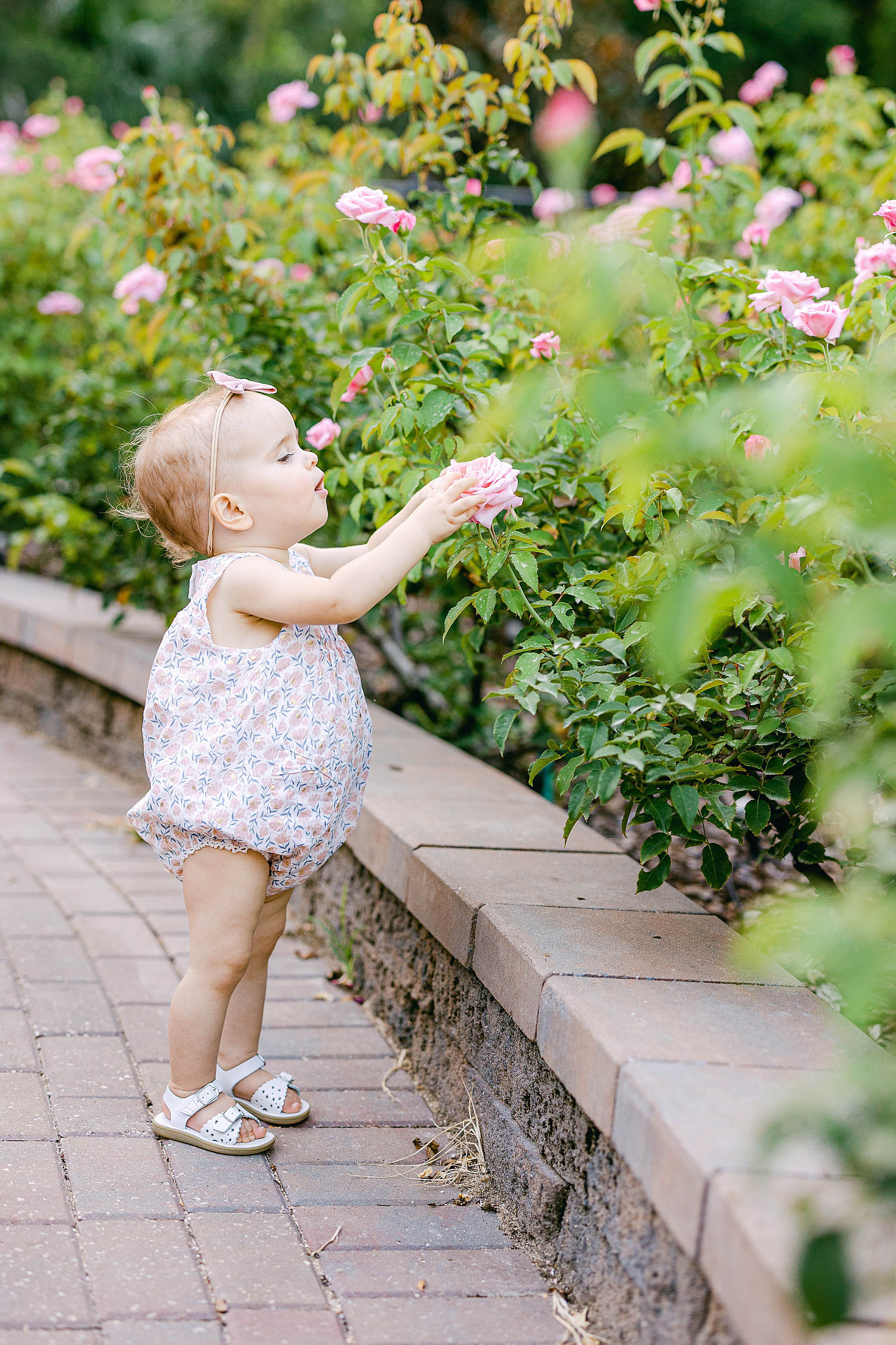 baby girl wearing white sandals smelling pink roses