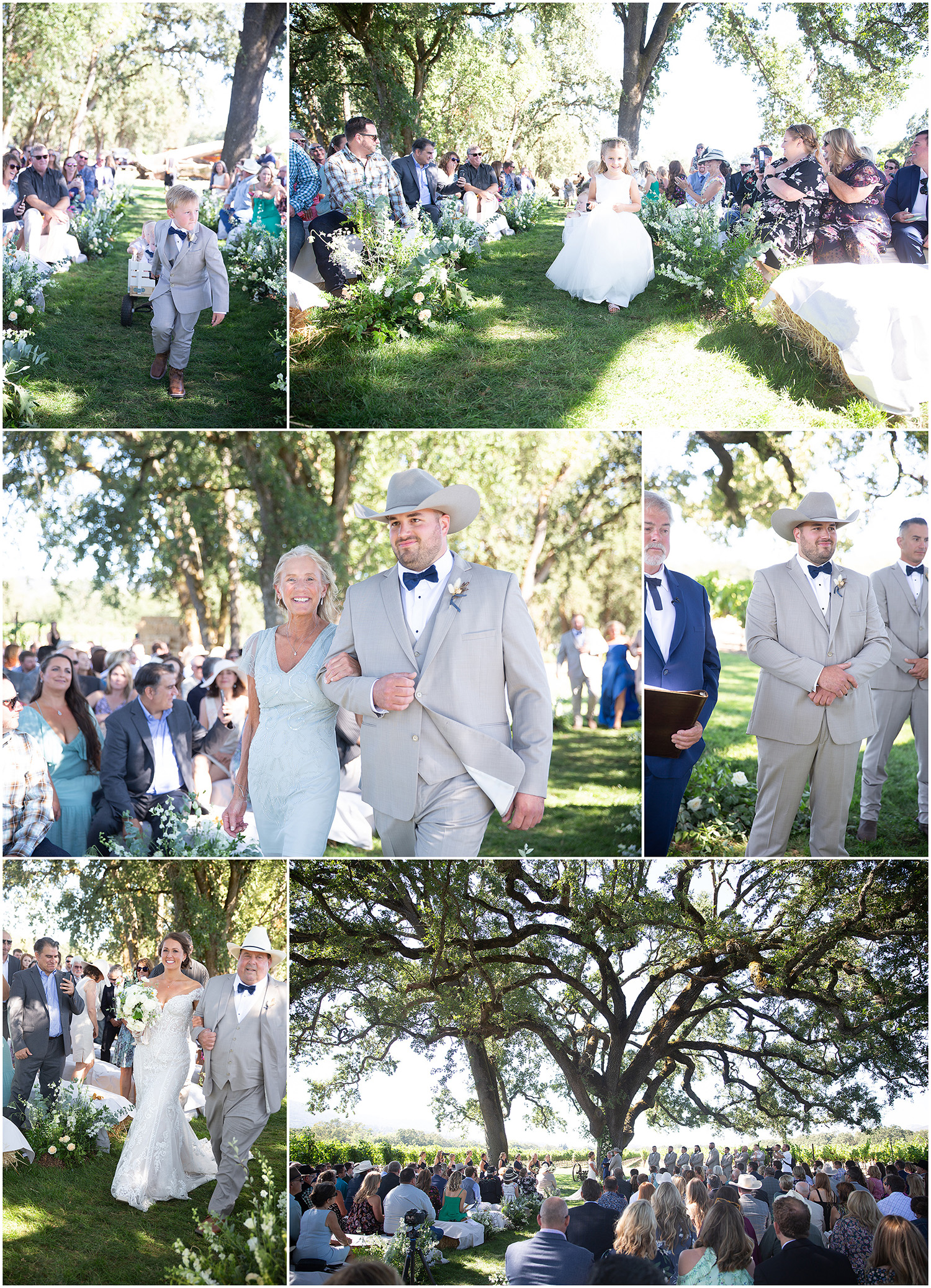 Wedding Ceremony under old oak trees