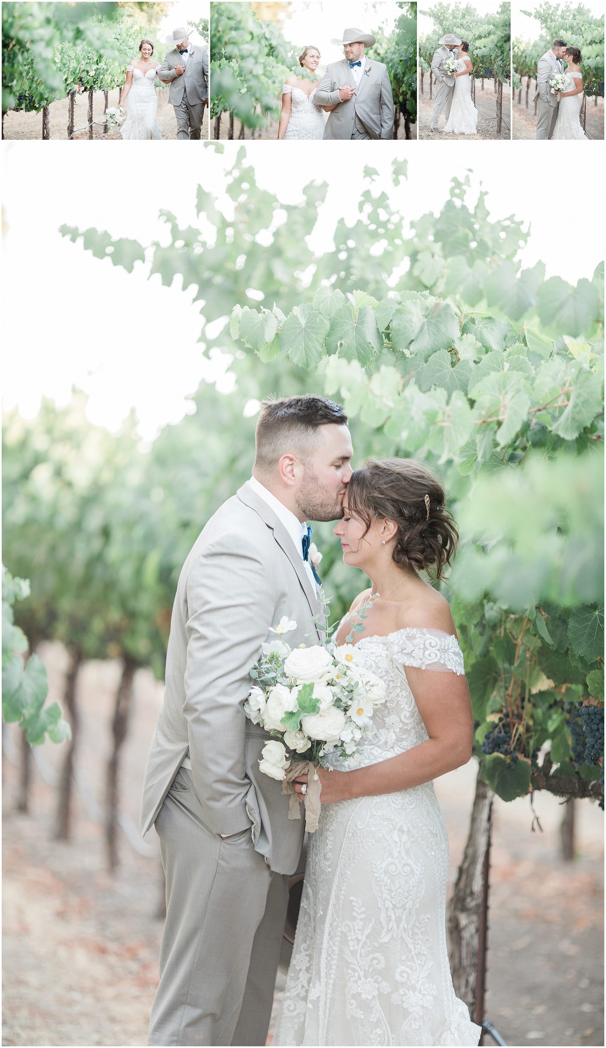 Sunset portraits in the vineyard with a bride and groom