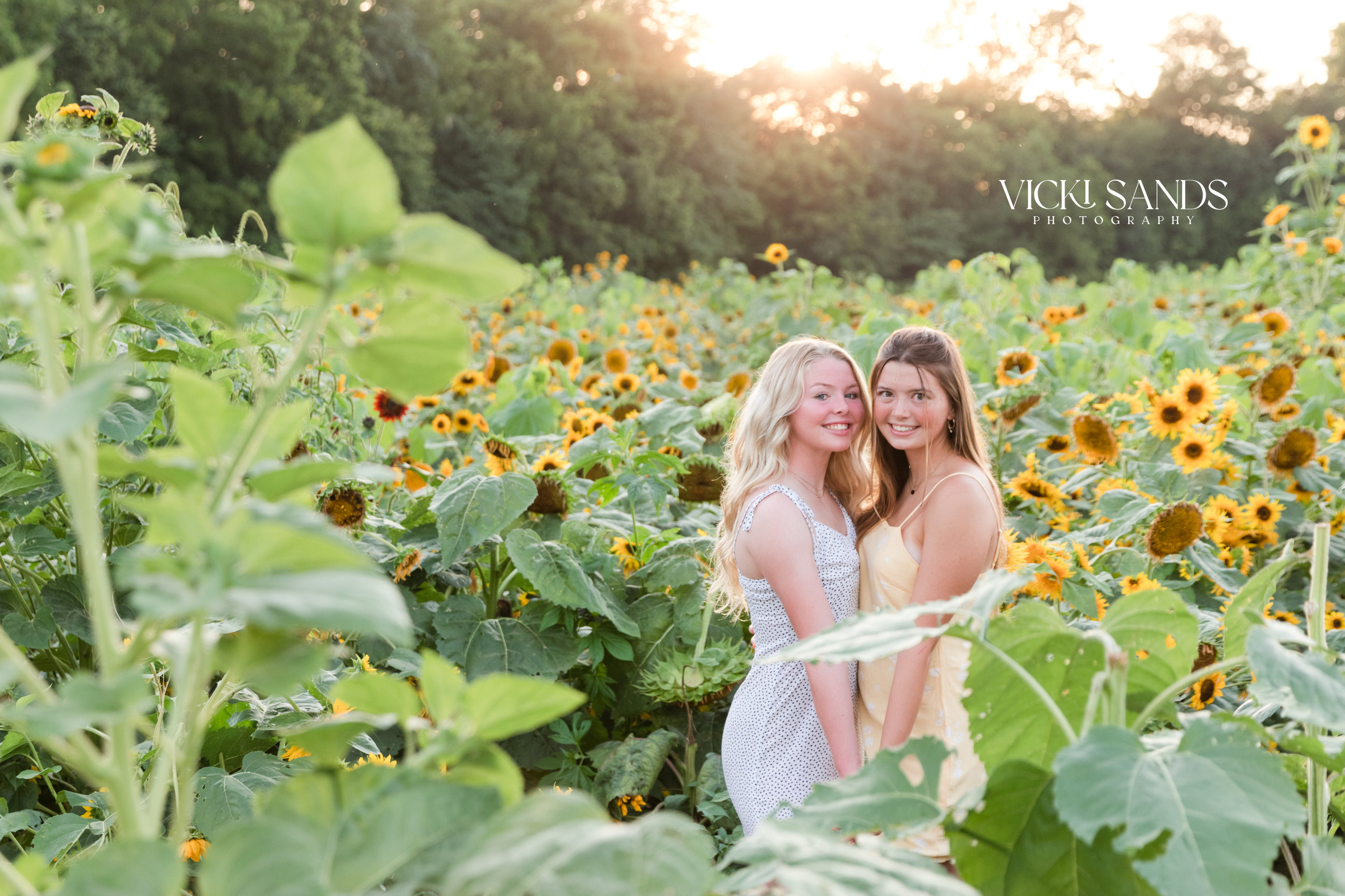 2 Sisters Surrounded by Sunflowers