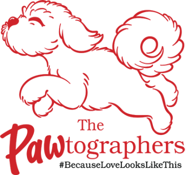 The PAWtographers Logo