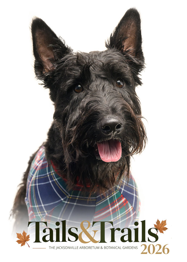 Tails and Trails 2026 dog portrait