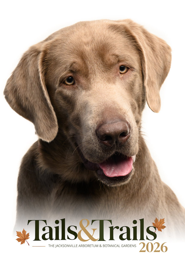 Tails and Trails 2026 dog portrait