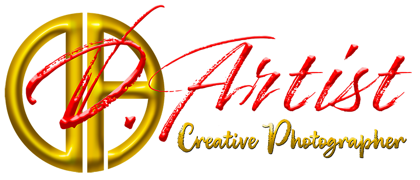 D. Artist, LLC Logo