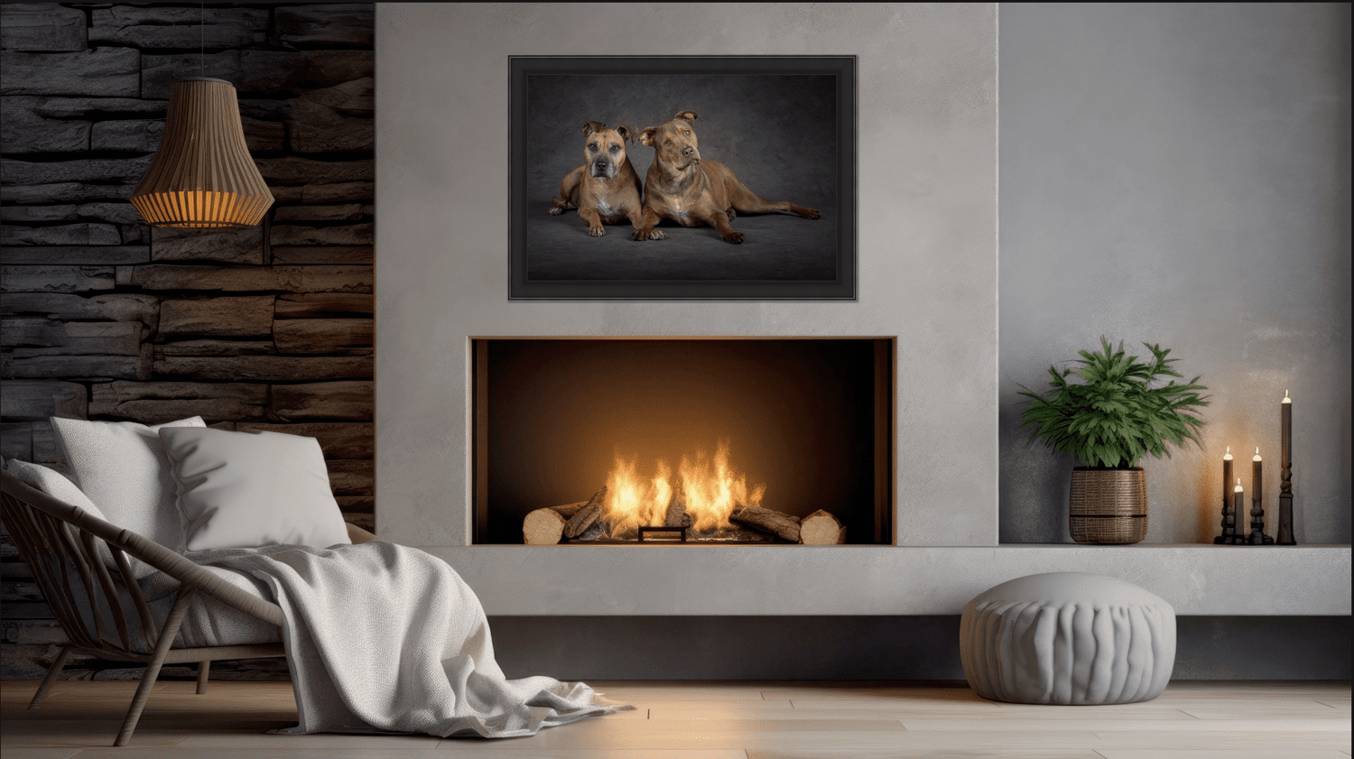 Englewood, CO Pet Photographer | Bina Photography