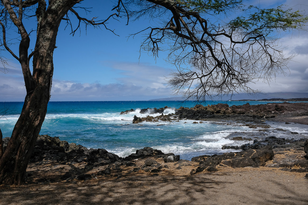 A branch filled tree and black lava frame the Pacific Ocean with Kahoolawe in the background.