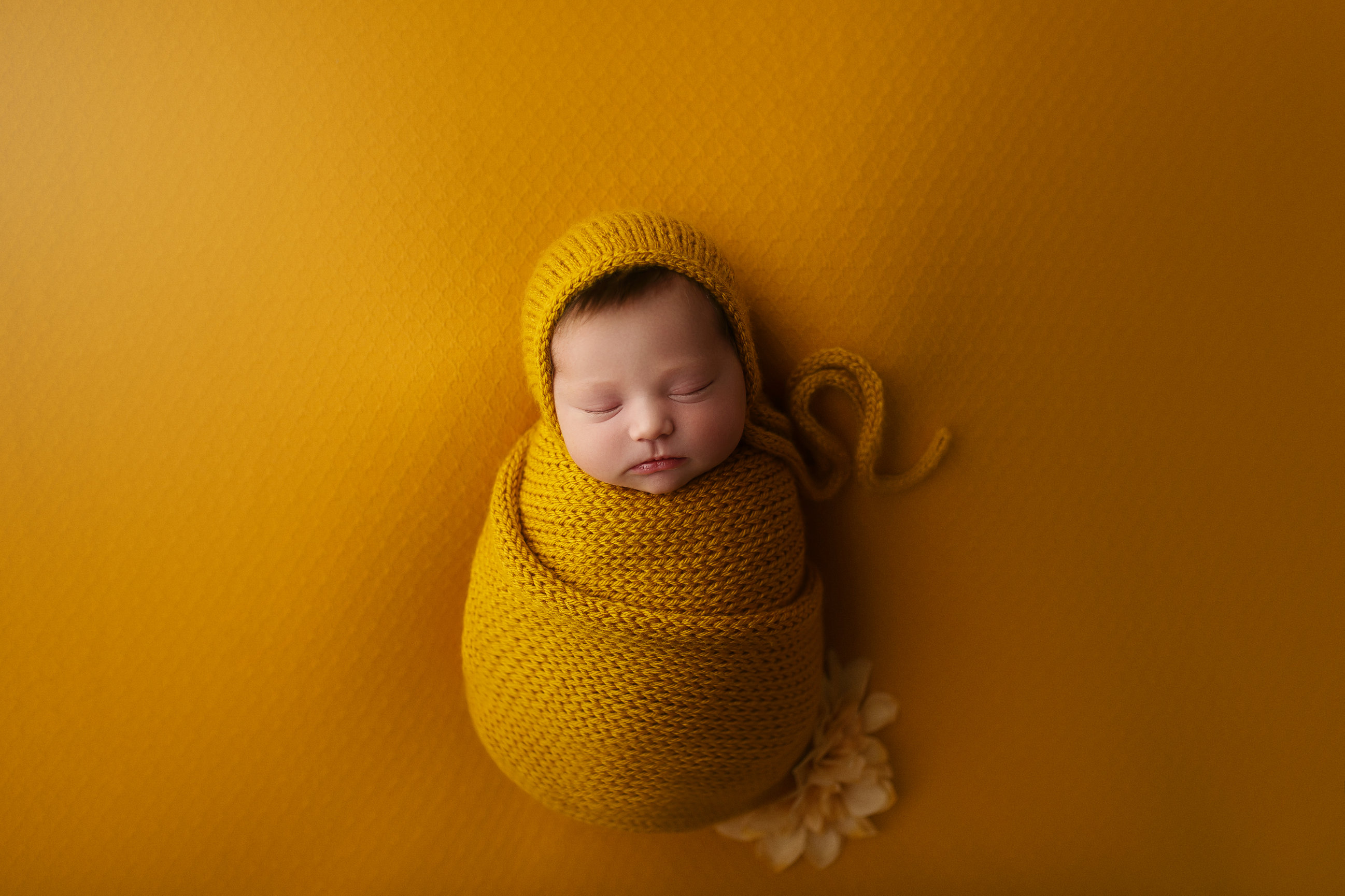 Calgary & Airdrie Family, Maternity and Newborn Photography