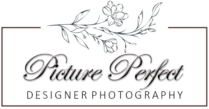 Picture Perfect Designer Photography Logo