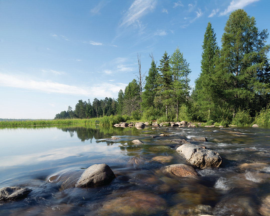 Tranquil forest lake reflecting the clear blue sky
