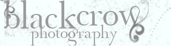 Black Crow Photography Logo