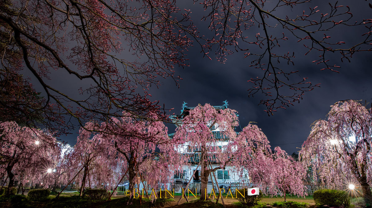 Cherry Blossoms at Himeji Castle (Finished Size 24 in X 18 in